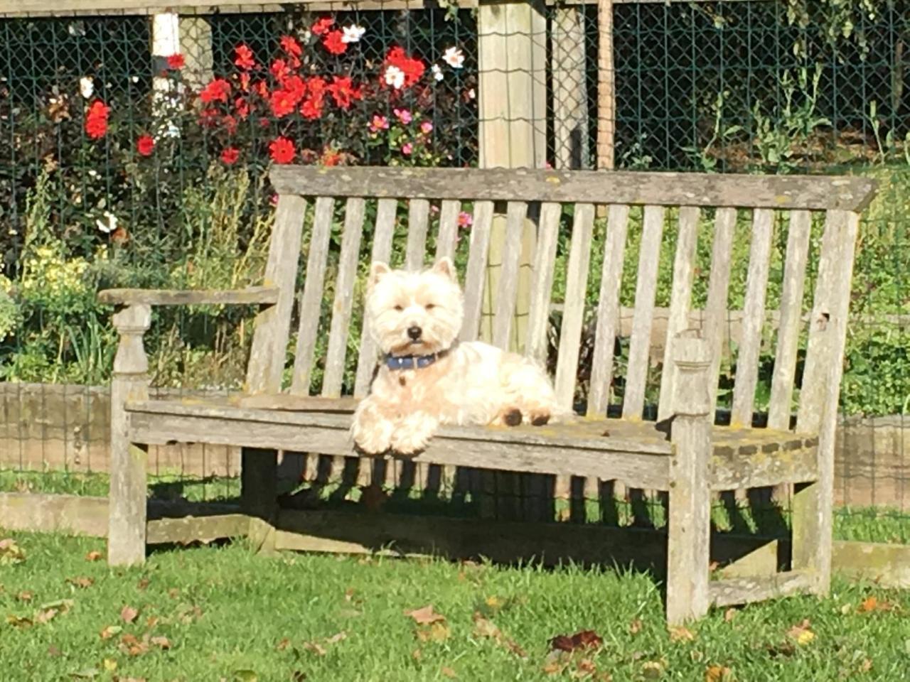 Chirk At Hill House Farm Cheshire Holiday home Tarporley